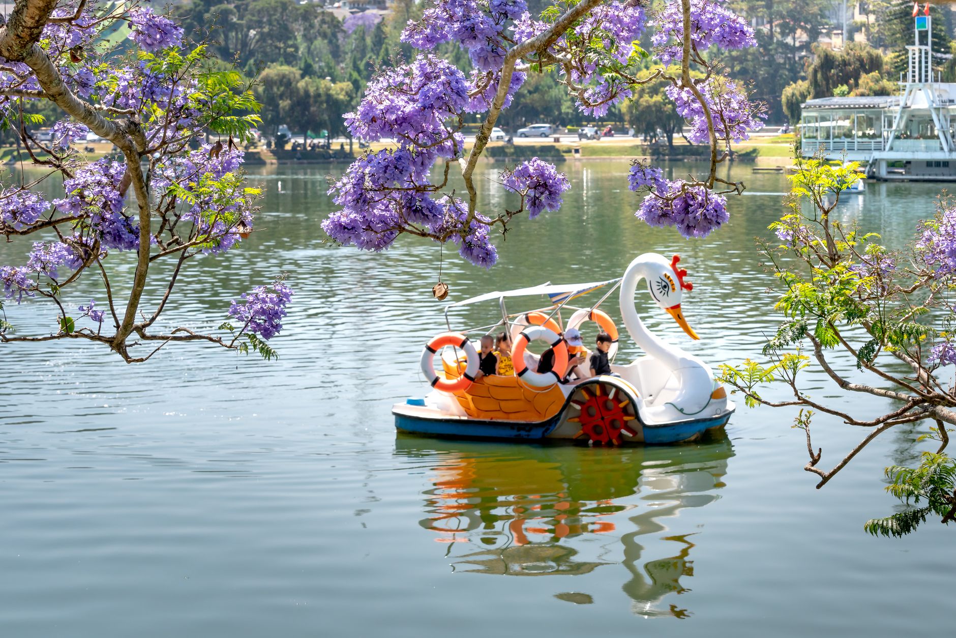 How to Spend a Weekend in Canberra: A Two-Day Local Guide