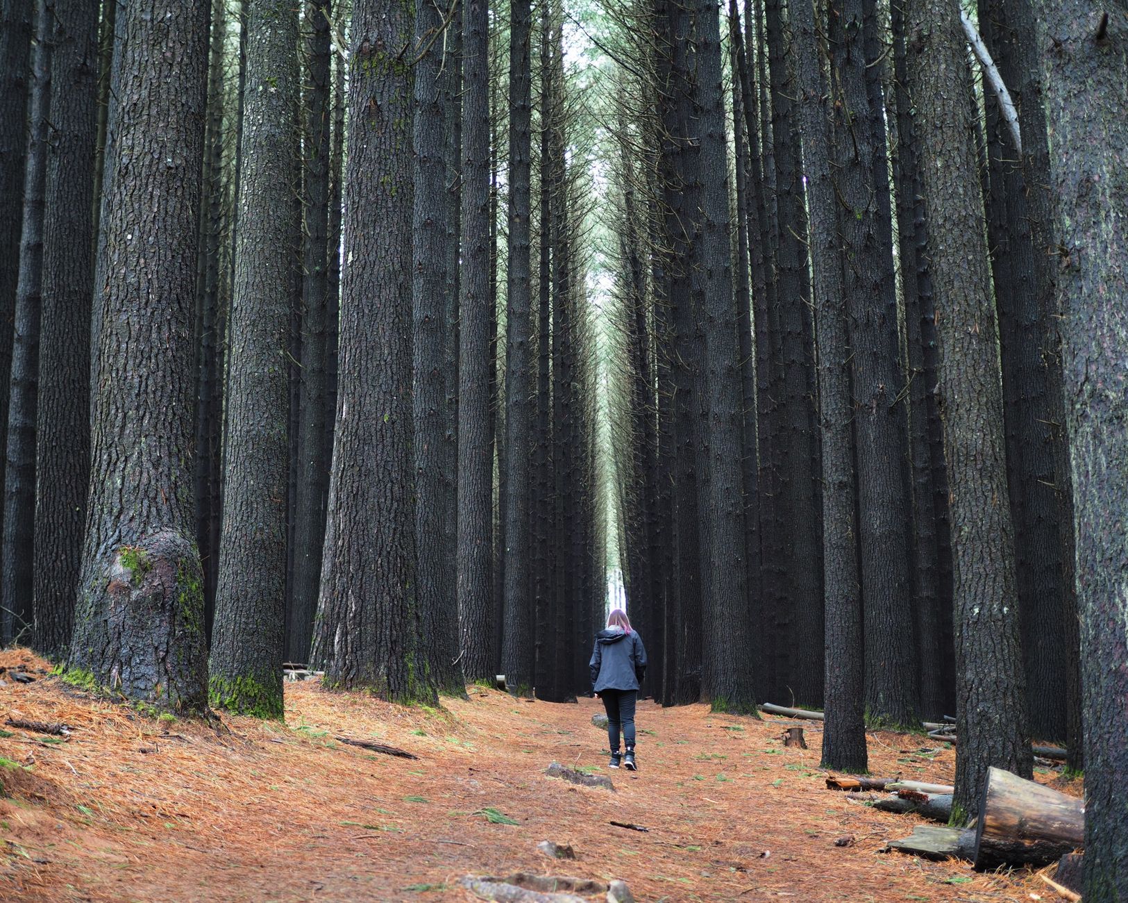 Best walks and lookouts in Canberra
