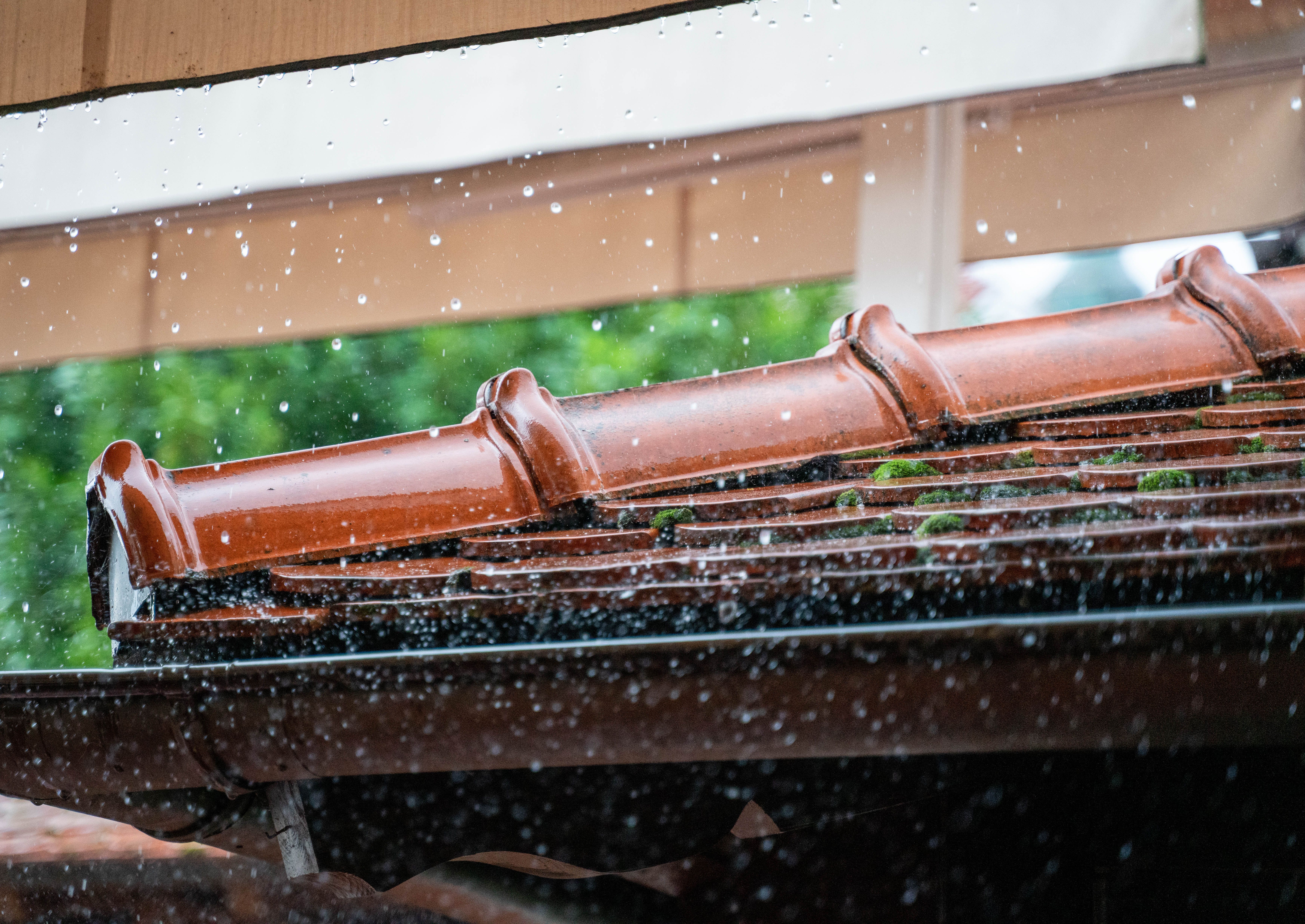 Roofing and Guttering in Canberra: Repairs, Restoration and Choosing a Roofer