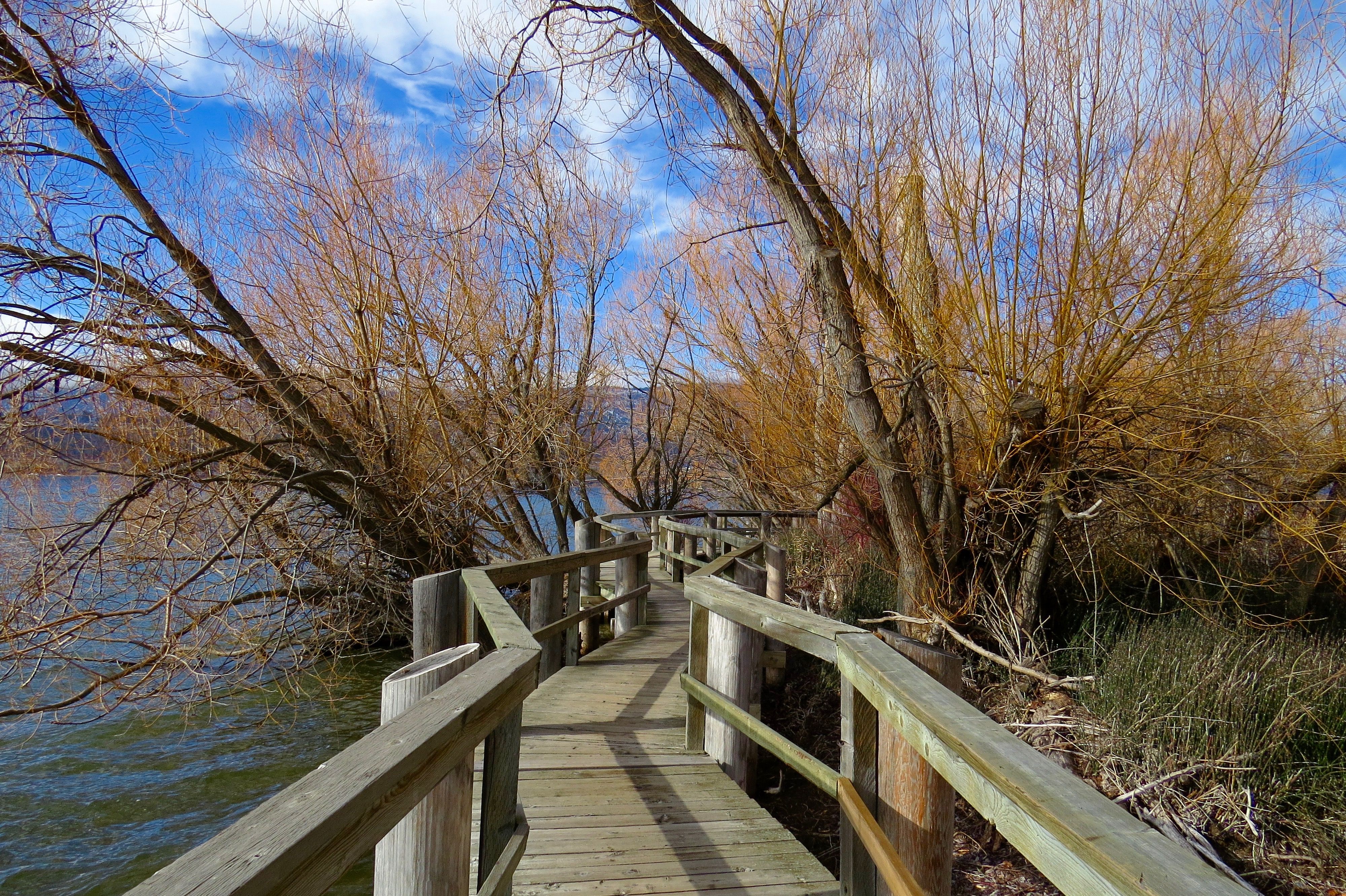 The Best Lake and Nature Walks in Canberra: Routes, Distances and What to Expect