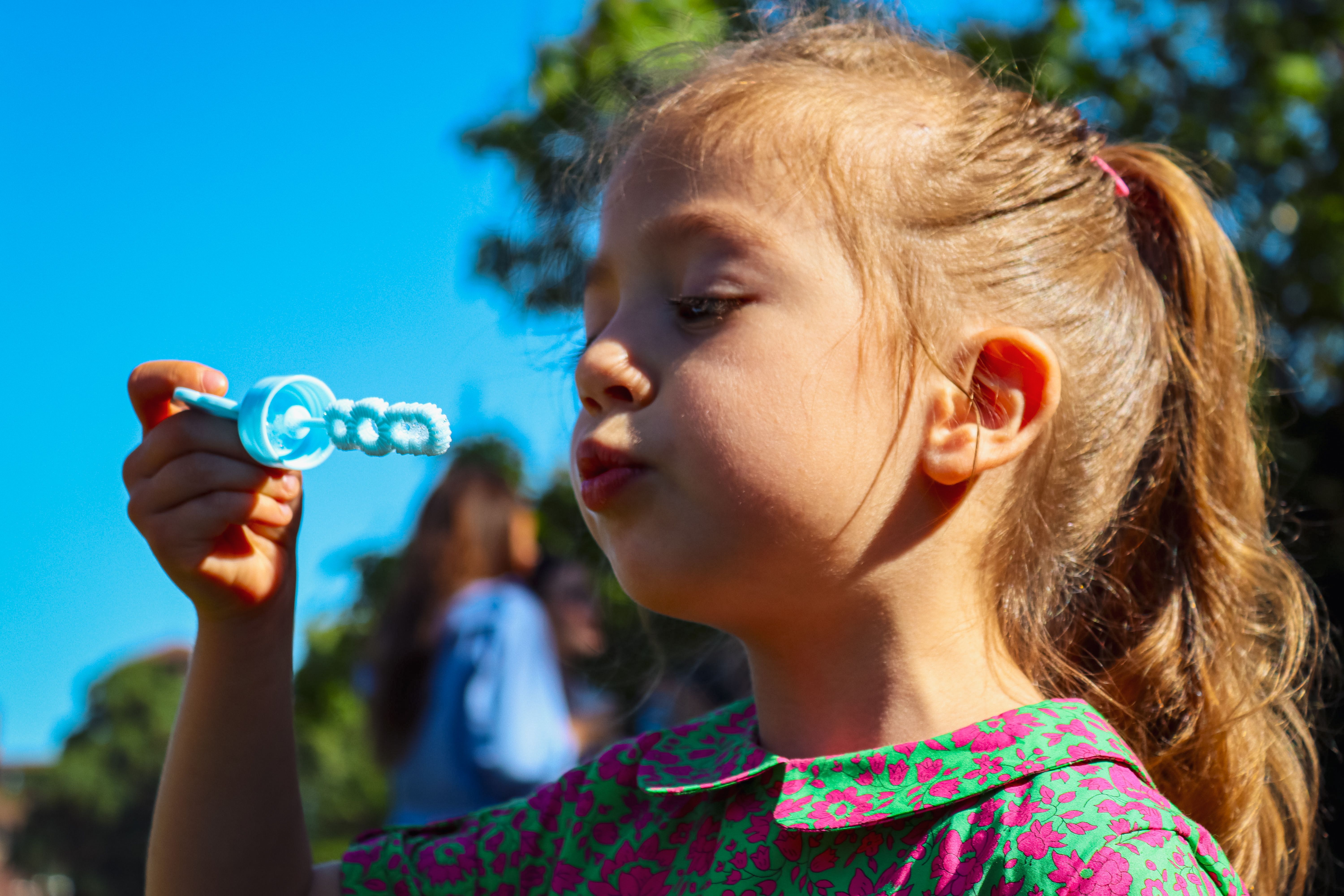 Things to Do in Canberra With Kids: A Local Family Guide