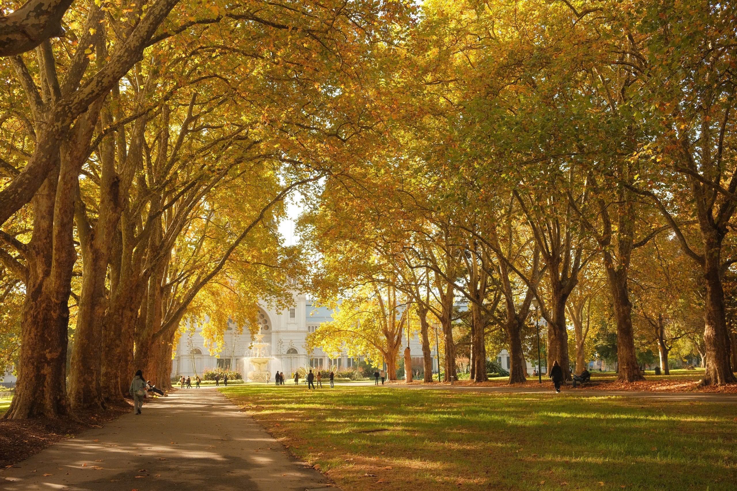 Canberra Seasons: When to Visit and What to Expect