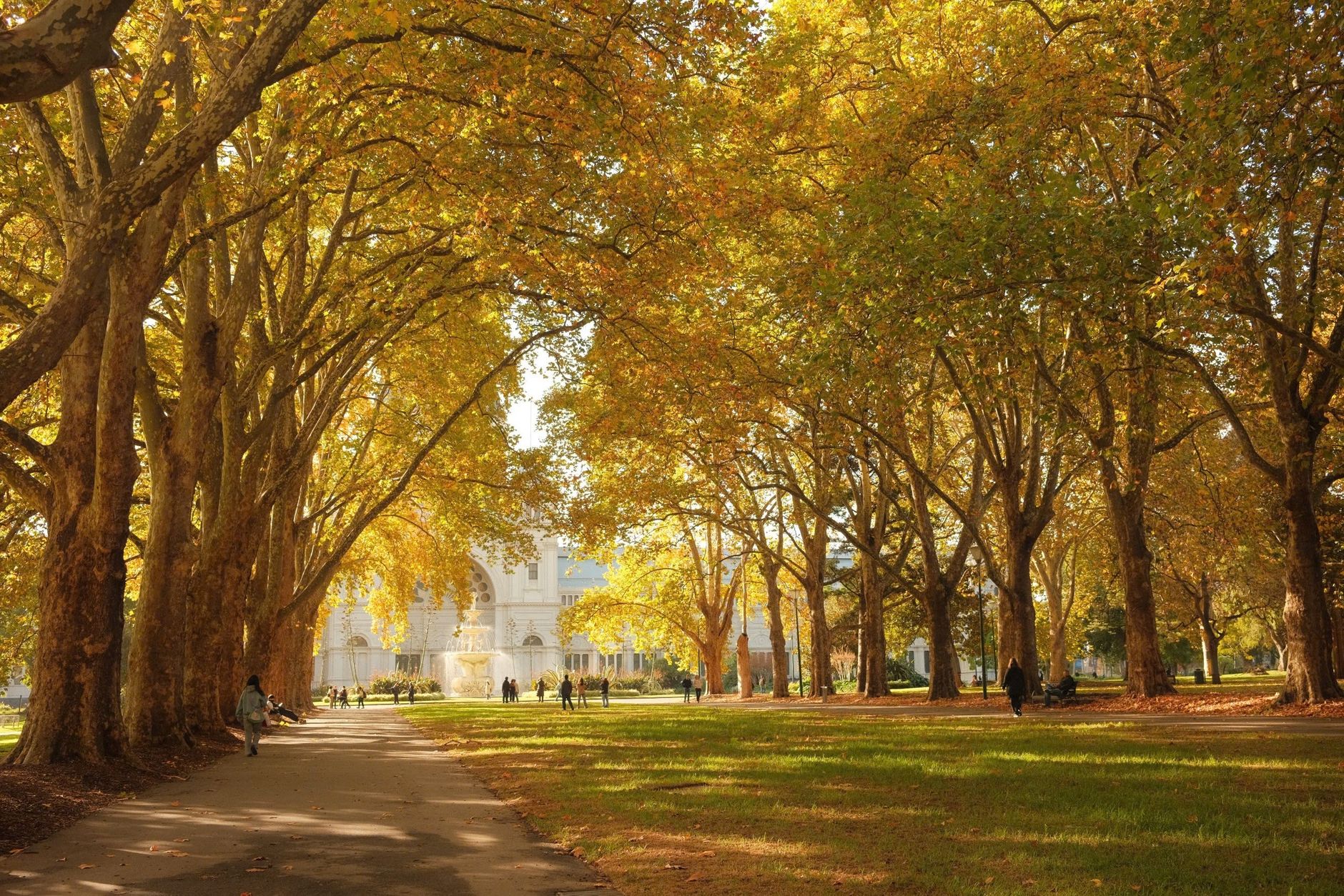 Canberra Seasons: When to Visit and What to Expect