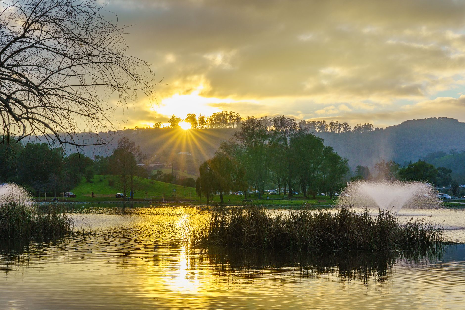 Parkrun and Free Outdoor Fitness in Canberra: Your Guide to the Lakes and Reserves