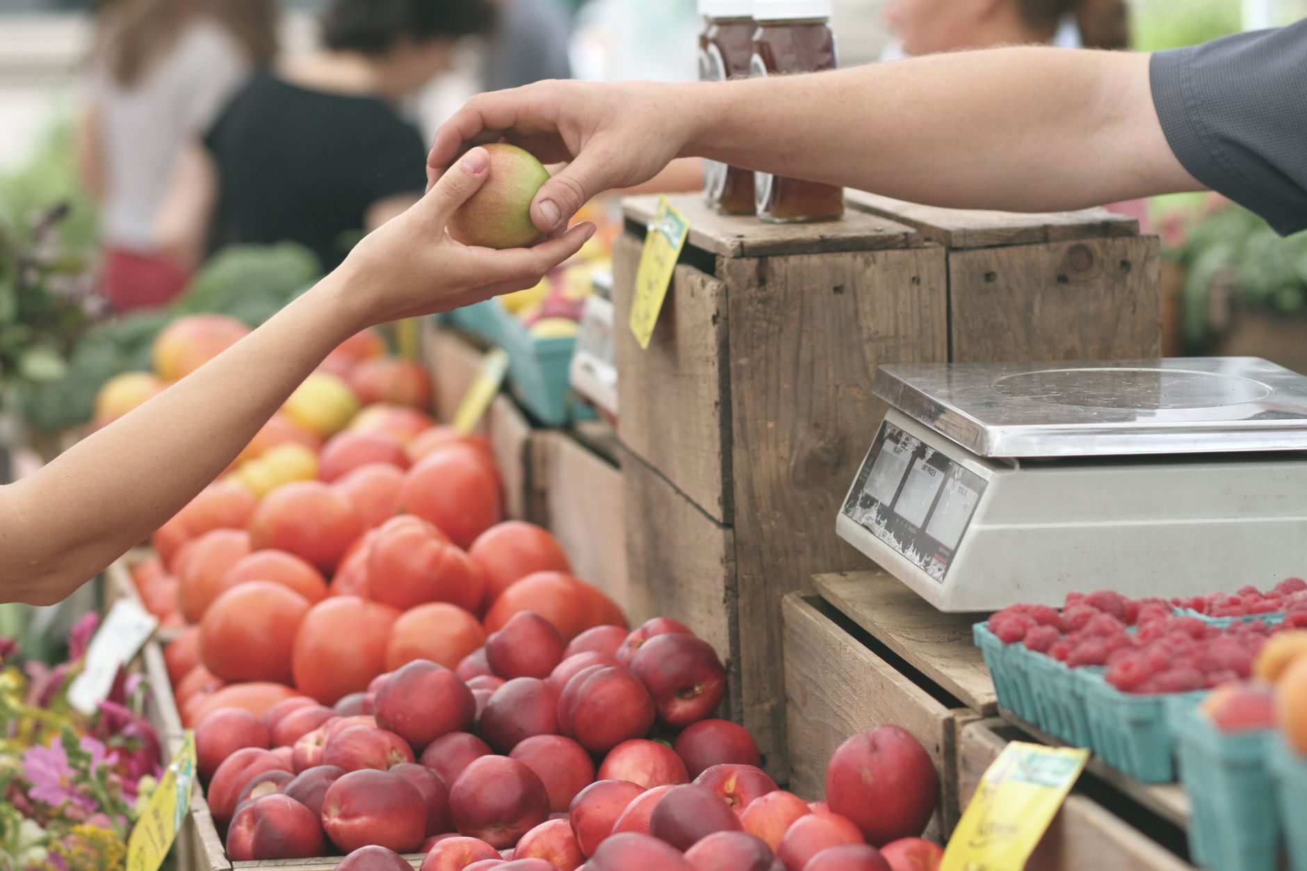 Canberra Markets Guide 2026: Farmers Markets, Fresh Food and Weekend Stalls