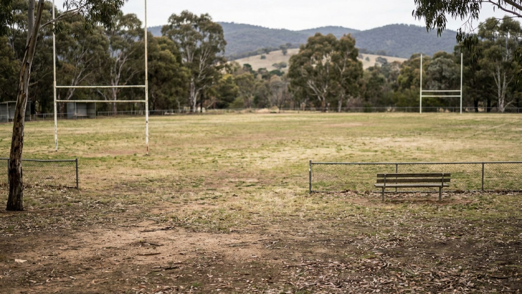 Canberra High School ADP Athletes Gain Attention Across Multiple Sports