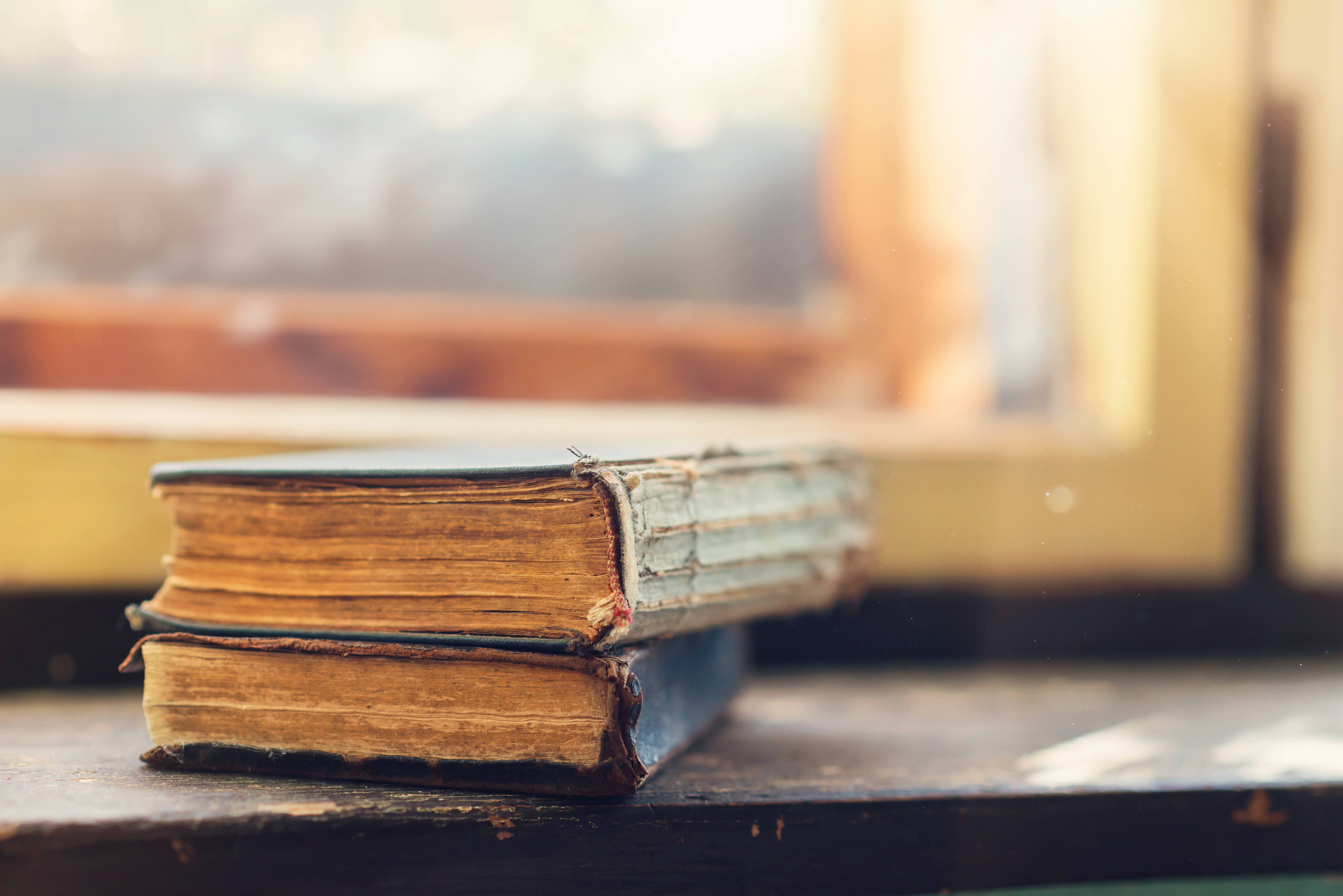 Canberra Book Clubs Connect Readers Through Libraries and Independent Venues